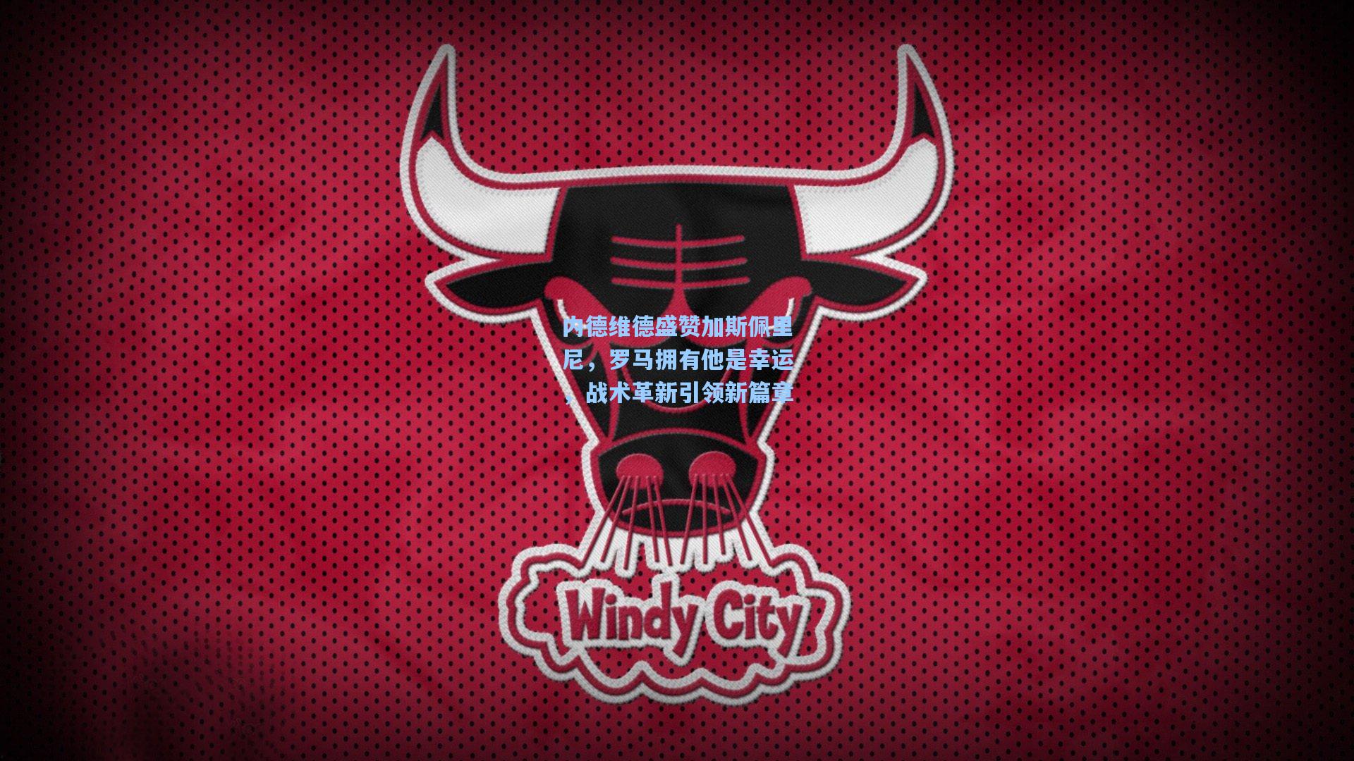 内德维德盛赞加斯佩里尼，罗马拥有他是幸运，战术革新引领新篇章