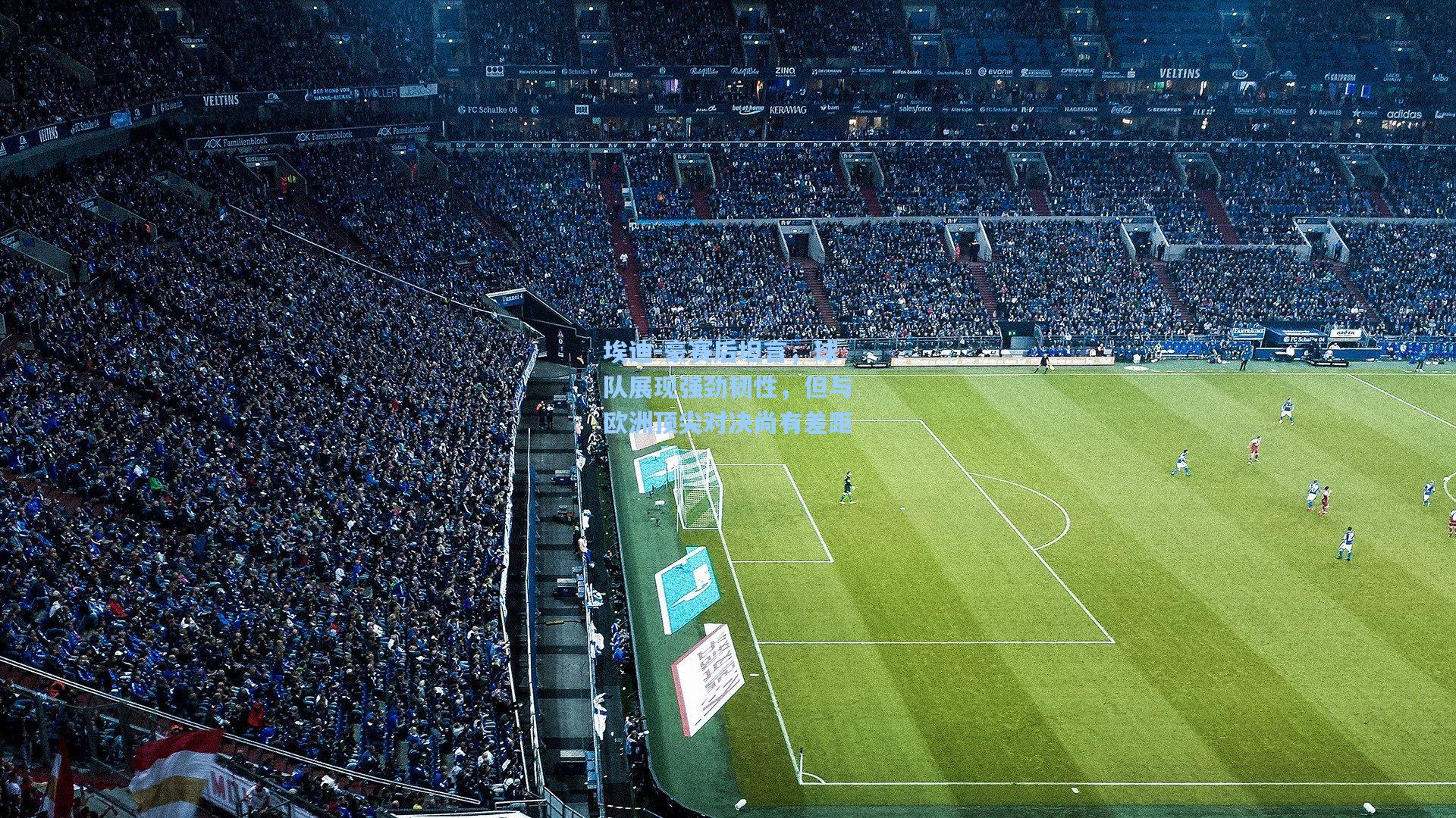 埃迪-豪赛后坦言,球队展现强劲韧性,但与欧洲顶尖对决尚有差距